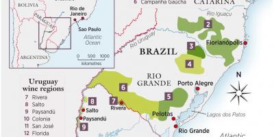Mapa Urugwaj wino